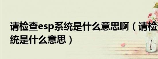 请检查esp系统是什么意思啊（请检查esp系统是什么意思）