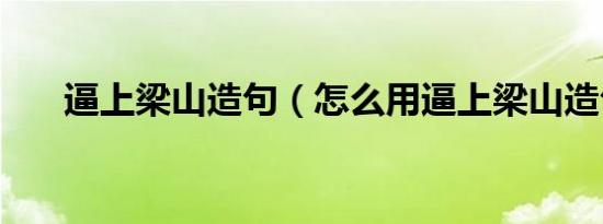 逼上梁山造句（怎么用逼上梁山造句）