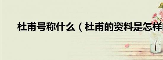 杜甫号称什么（杜甫的资料是怎样的）