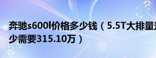 奔驰s600l价格多少钱（5.5T大排量落地价最少需要315.10万）