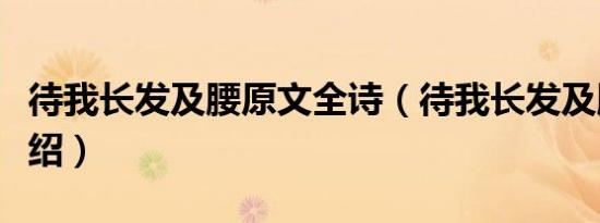 待我长发及腰原文全诗（待我长发及腰原诗介绍）