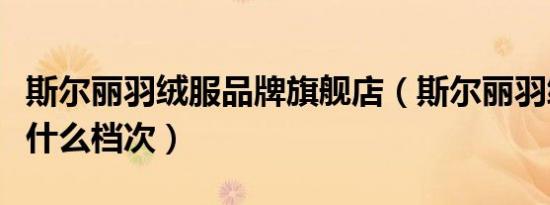 斯尔丽羽绒服品牌旗舰店（斯尔丽羽绒服属于什么档次）