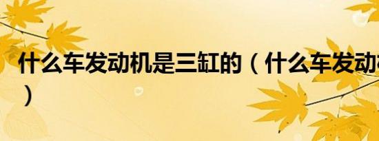 什么车发动机是三缸的（什么车发动机是三缸）