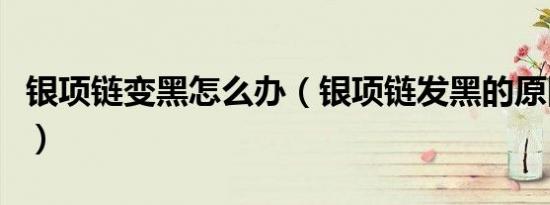 银项链变黑怎么办（银项链发黑的原因是什么）
