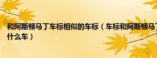 和阿斯顿马丁车标相似的车标（车标和阿斯顿马丁很像的是什么车）