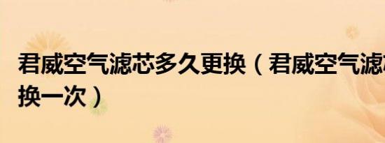 君威空气滤芯多久更换（君威空气滤芯多久更换一次）