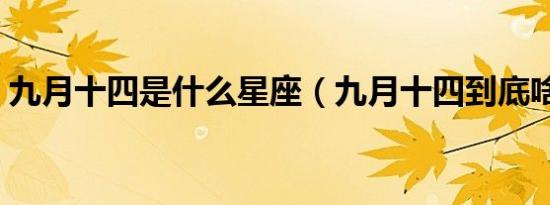 九月十四是什么星座（九月十四到底啥星座）
