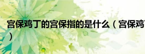 宫保鸡丁的宫保指的是什么（宫保鸡丁的解释）
