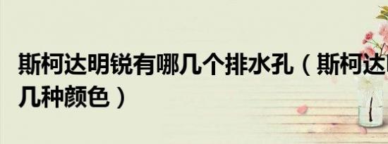 斯柯达明锐有哪几个排水孔（斯柯达明锐有哪几种颜色）