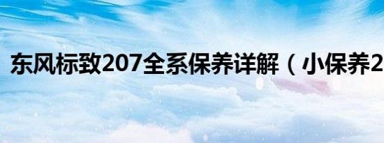 东风标致207全系保养详解（小保养264元）