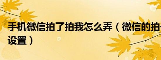 手机微信拍了拍我怎么弄（微信的拍一拍怎么设置）