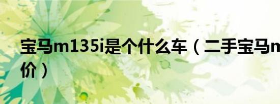 宝马m135i是个什么车（二手宝马m135i报价）