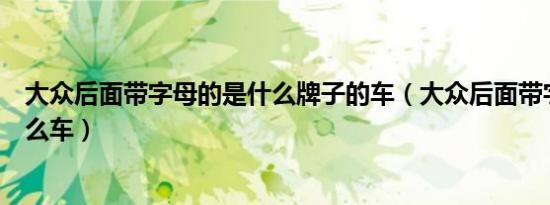 大众后面带字母的是什么牌子的车（大众后面带字母的是什么车）