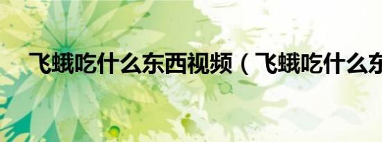 飞蛾吃什么东西视频（飞蛾吃什么东西）