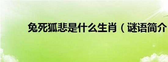 兔死狐悲是什么生肖（谜语简介）