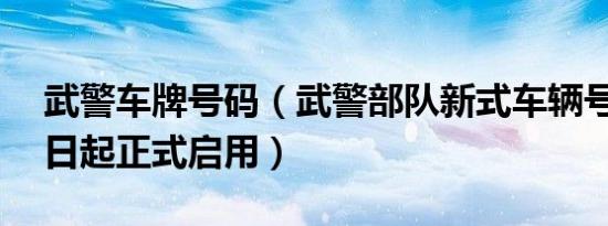 武警车牌号码（武警部队新式车辆号牌6月1日起正式启用）