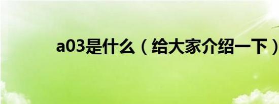 a03是什么（给大家介绍一下）