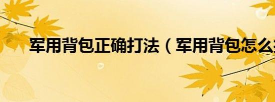 军用背包正确打法（军用背包怎么打）