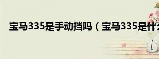 宝马335是手动挡吗（宝马335是什么车）