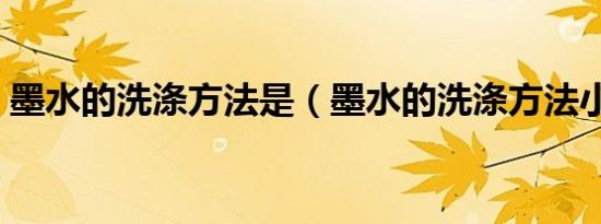 墨水的洗涤方法是（墨水的洗涤方法小妙招）