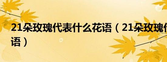 21朵玫瑰代表什么花语（21朵玫瑰代表的花语）