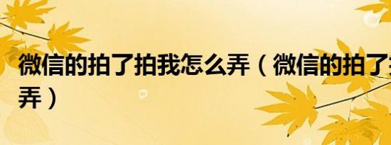 微信的拍了拍我怎么弄（微信的拍了拍我如何弄）