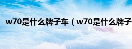 w70是什么牌子车（w70是什么牌子的车）
