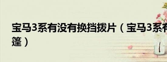 宝马3系有没有换挡拨片（宝马3系有没有敞篷）