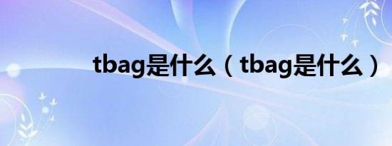 tbag是什么（tbag是什么）