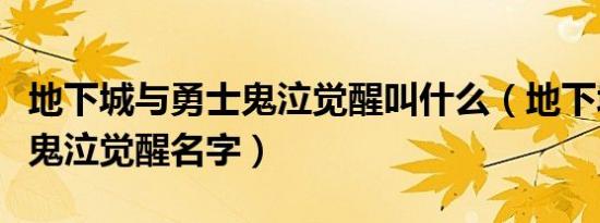 地下城与勇士鬼泣觉醒叫什么（地下城与勇士鬼泣觉醒名字）