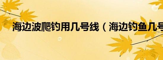 海边波爬钓用几号线（海边钓鱼几号线）