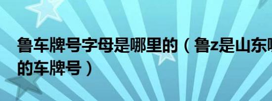 鲁车牌号字母是哪里的（鲁z是山东哪个城市的车牌号）