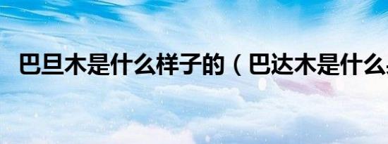 巴旦木是什么样子的（巴达木是什么果仁）