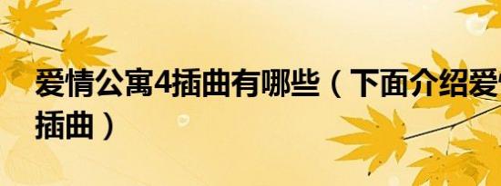 爱情公寓4插曲有哪些（下面介绍爱情公寓4插曲）