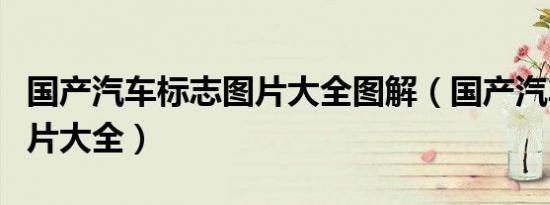 国产汽车标志图片大全图解（国产汽车标志图片大全）