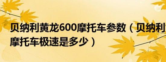 贝纳利黄龙600摩托车参数（贝纳利黄龙600摩托车极速是多少）