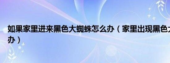 如果家里进来黑色大蜘蛛怎么办（家里出现黑色大蜘蛛怎么办）