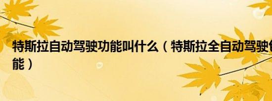 特斯拉自动驾驶功能叫什么（特斯拉全自动驾驶包含哪些功能）