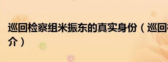 巡回检察组米振东的真实身份（巡回检察组简介）