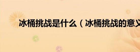 冰桶挑战是什么（冰桶挑战的意义）