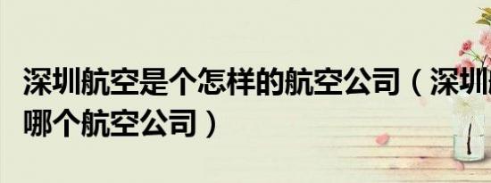 深圳航空是个怎样的航空公司（深圳航空属于哪个航空公司）