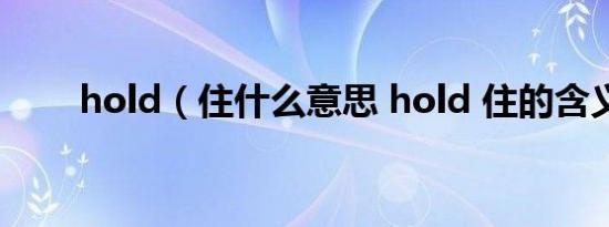 hold（住什么意思 hold 住的含义）