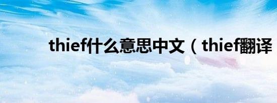 thief什么意思中文（thief翻译）