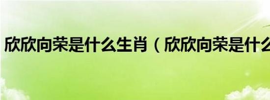 欣欣向荣是什么生肖（欣欣向荣是什么意思）