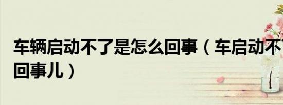 车辆启动不了是怎么回事（车启动不了是怎么回事儿）