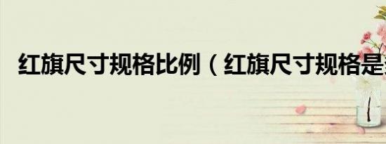 红旗尺寸规格比例（红旗尺寸规格是多少）