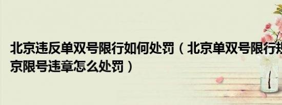 北京违反单双号限行如何处罚（北京单双号限行规定2022北京限号违章怎么处罚）