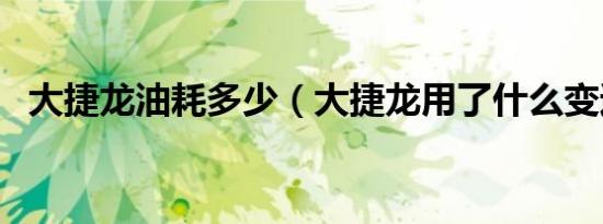 大捷龙油耗多少（大捷龙用了什么变速箱）