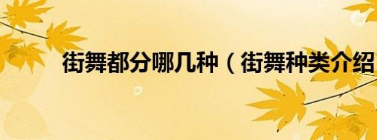 街舞都分哪几种（街舞种类介绍）