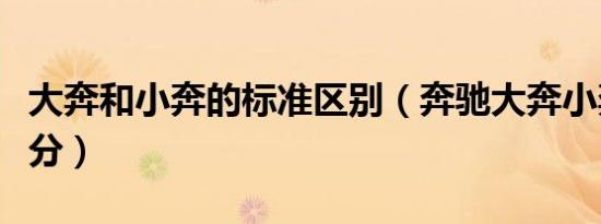 大奔和小奔的标准区别（奔驰大奔小奔怎么区分）